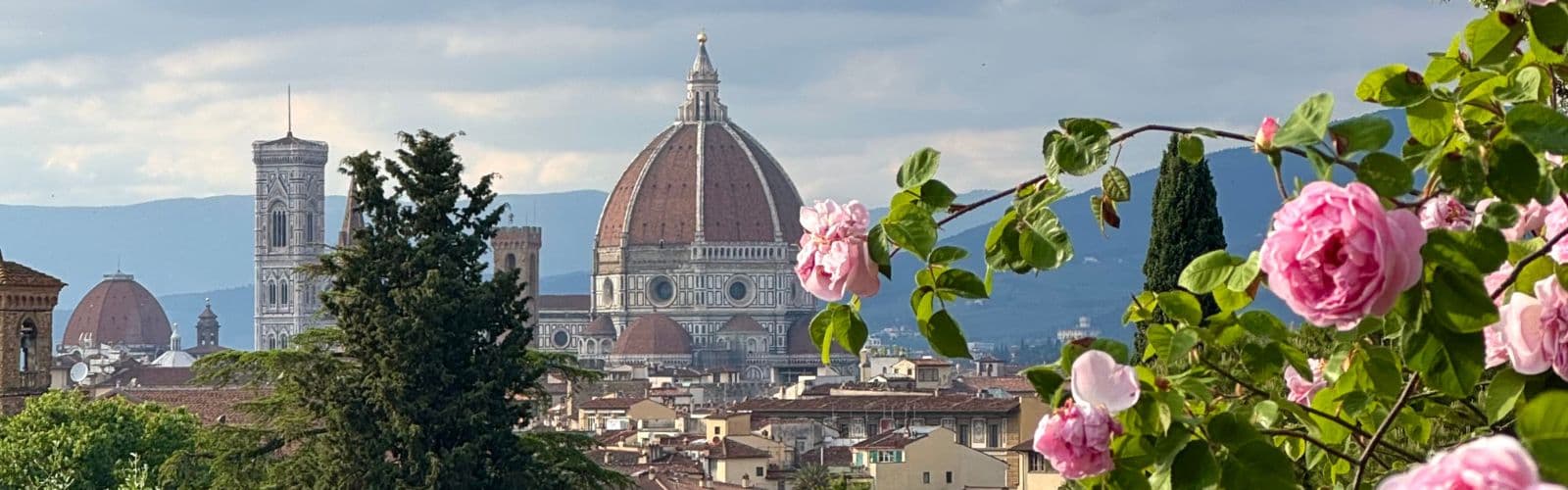 Pink roses sit in the foreground in front of the Duomo and the city of Florence. 